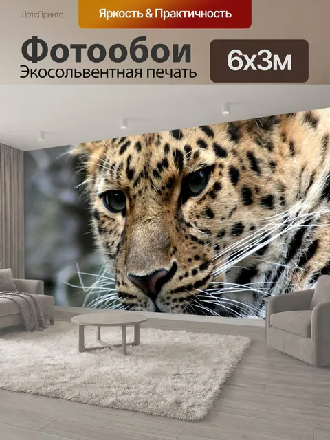600 × 300 см · Экосольвентная печать