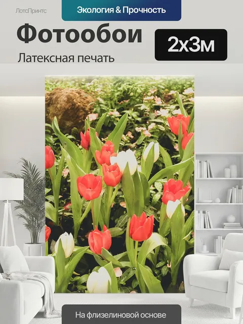 200 × 300 см · Латексная печать