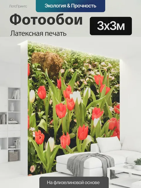 300 × 300 см · Латексная печать