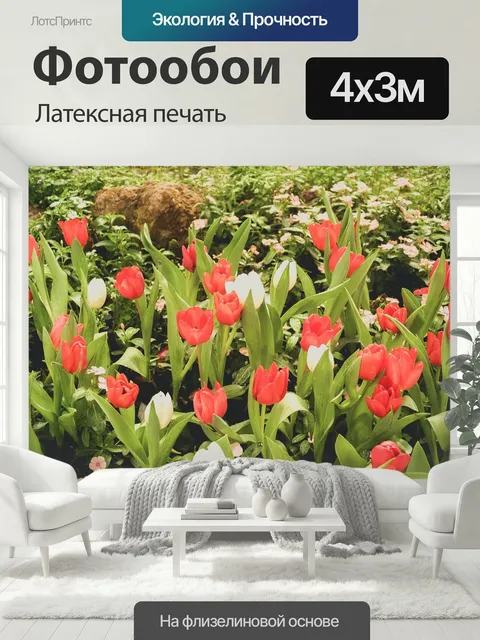 400 × 300 см · Латексная печать