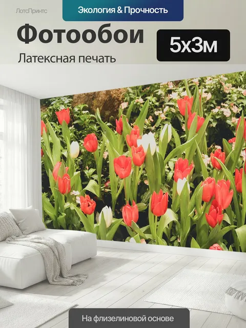 500 × 300 см · Латексная печать