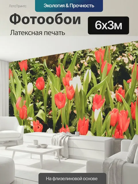 600 × 300 см · Латексная печать