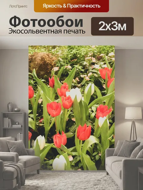200 × 300 см · Экосольвентная печать