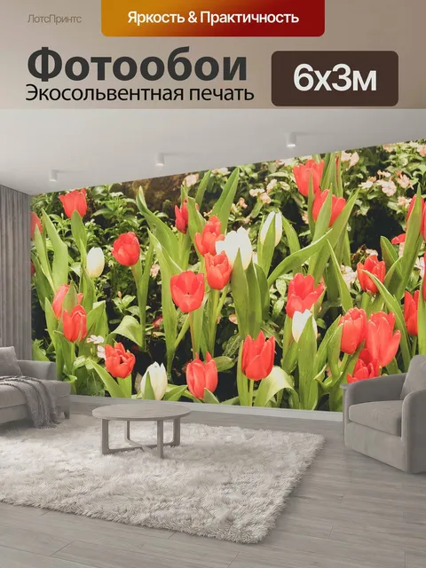 600 × 300 см · Экосольвентная печать