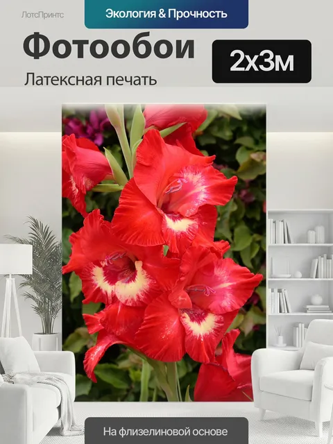 200 × 300 см · Латексная печать