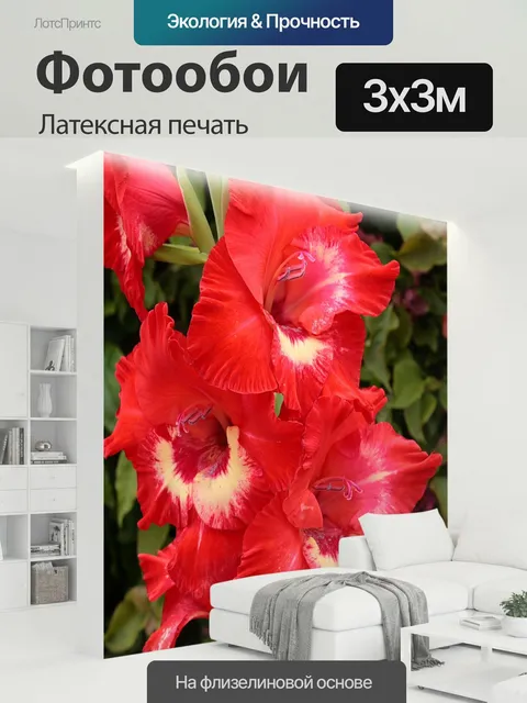 300 × 300 см · Латексная печать