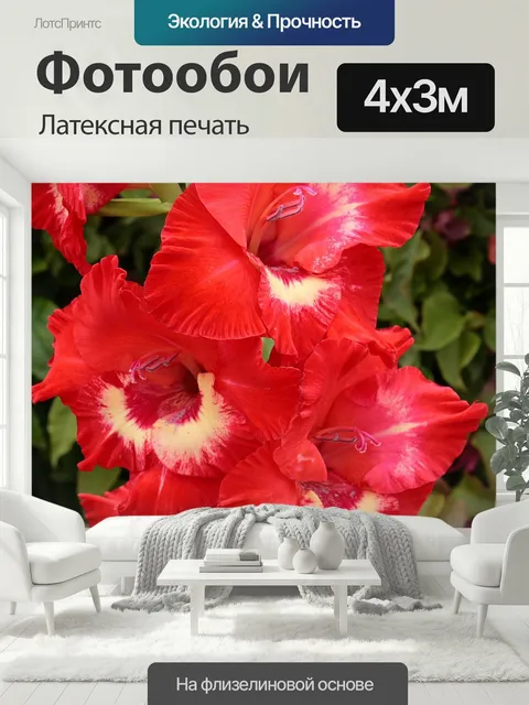 400 × 300 см · Латексная печать