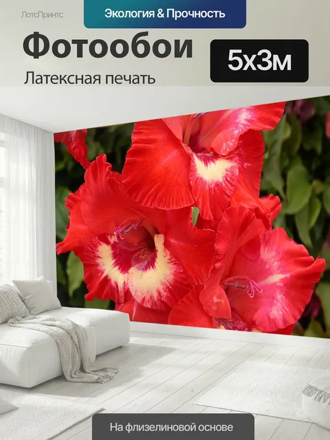 500 × 300 см · Латексная печать