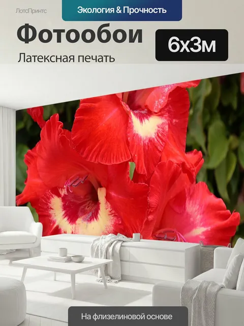 600 × 300 см · Латексная печать