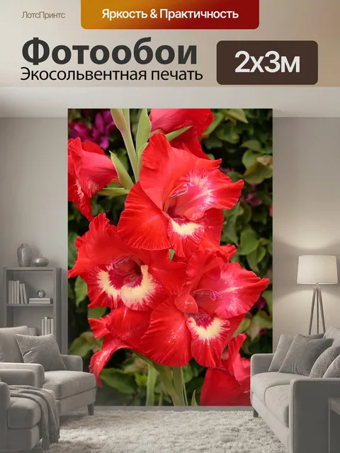 200 × 300 см · Экосольвентная печать