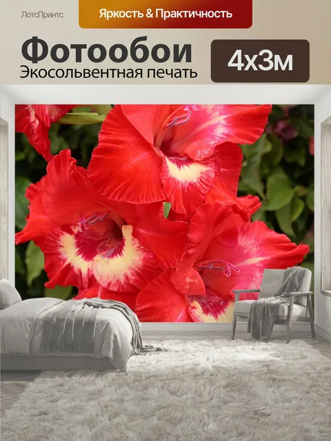 400 × 300 см · Экосольвентная печать