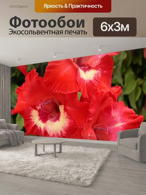 600 × 300 см · Экосольвентная печать