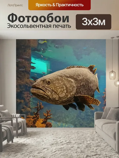 Фотообои Рыбы, огромный, большой