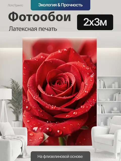 200 × 300 см · Латексная печать