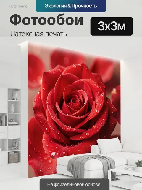 300 × 300 см · Латексная печать