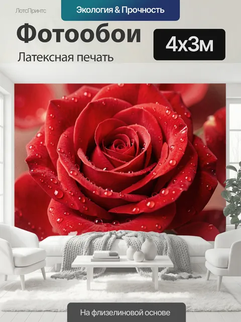 400 × 300 см · Латексная печать