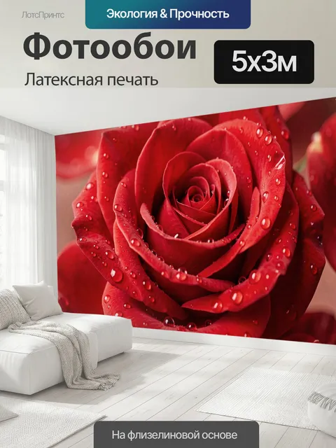 500 × 300 см · Латексная печать