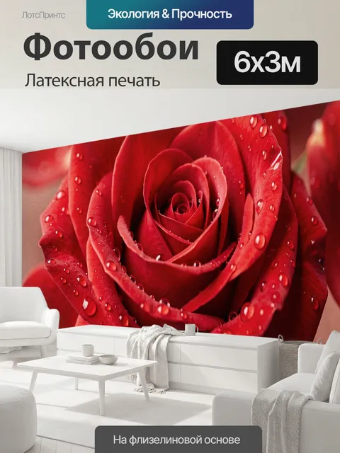 600 × 300 см · Латексная печать