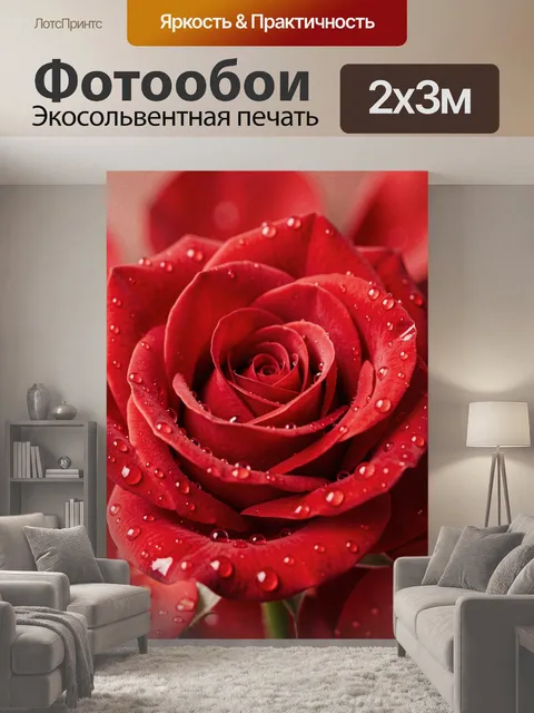 200 × 300 см · Экосольвентная печать