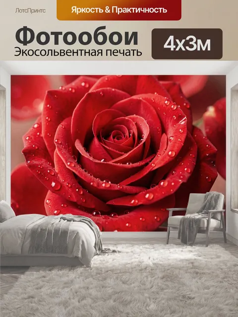 400 × 300 см · Экосольвентная печать