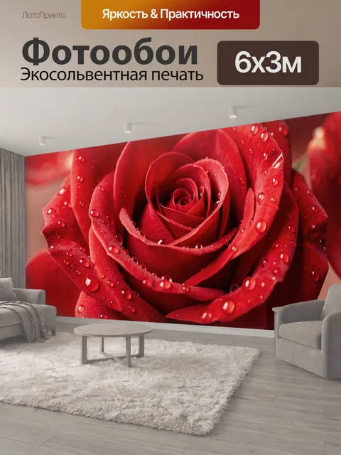 600 × 300 см · Экосольвентная печать
