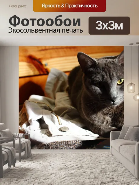 Фотообои Кот, талисман, животное