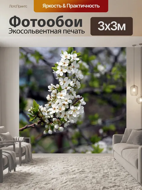 Фотообои Черемуха, дерево, цветение