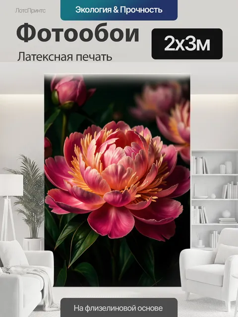 200 × 300 см · Латексная печать