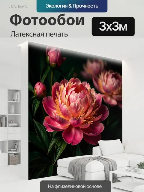 300 × 300 см · Латексная печать