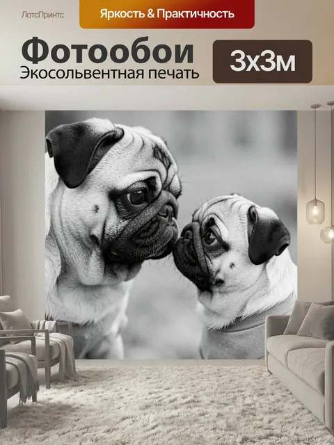Фотообои Пара мопсов в нежном общении