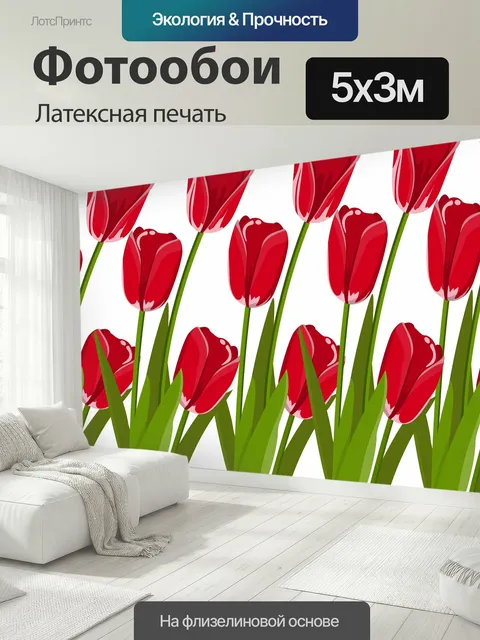 500 × 300 см · Латексная печать