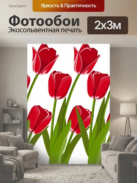 200 × 300 см · Экосольвентная печать