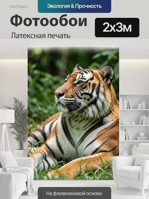 200 × 300 см · Латексная печать