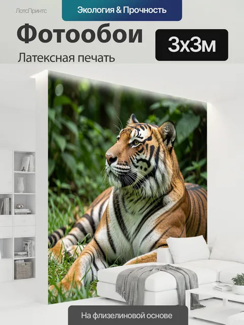 300 × 300 см · Латексная печать
