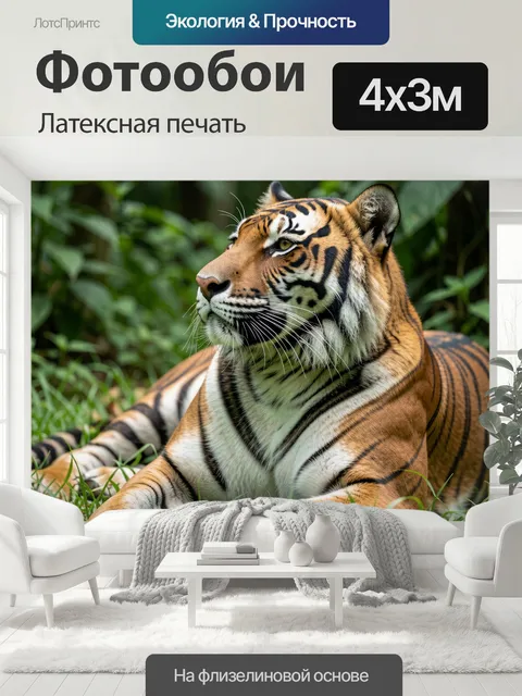 400 × 300 см · Латексная печать