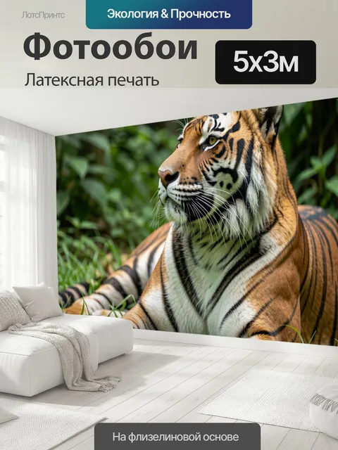 500 × 300 см · Латексная печать