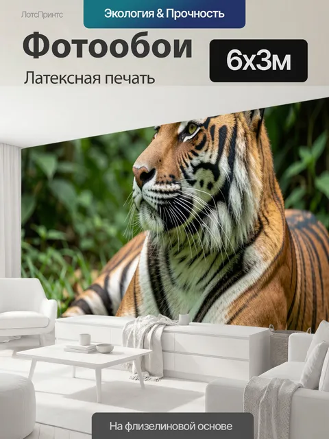600 × 300 см · Латексная печать