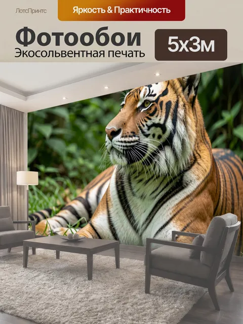 500 × 300 см · Экосольвентная печать