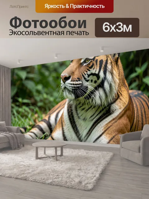 600 × 300 см · Экосольвентная печать
