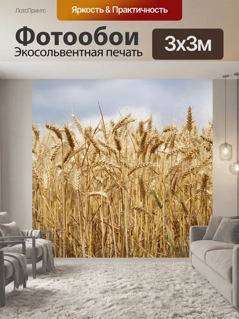 Фотообои Пшеничное поле, пшеница, пшеницы выращивание