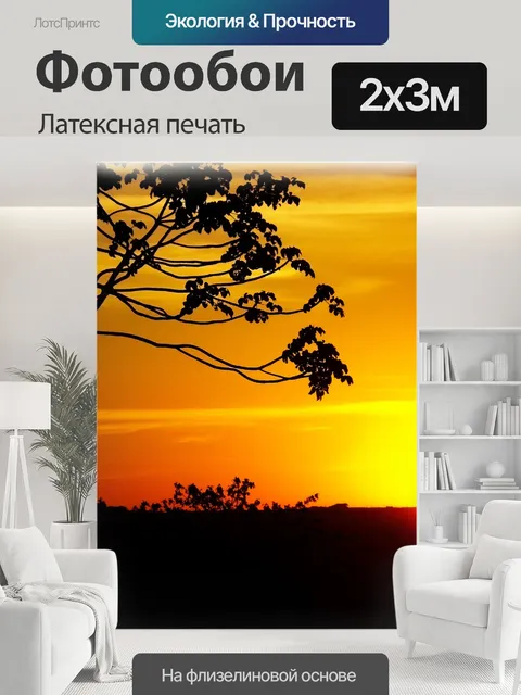 200 × 300 см · Латексная печать