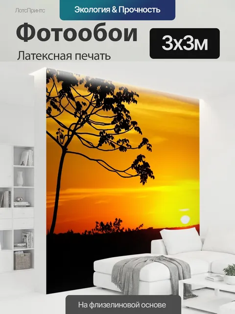 300 × 300 см · Латексная печать