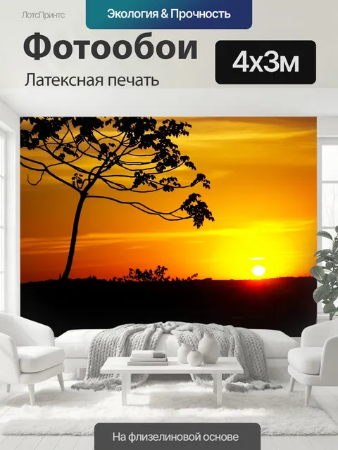 400 × 300 см · Латексная печать