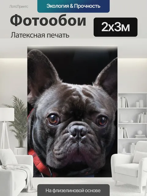 200 × 300 см · Латексная печать