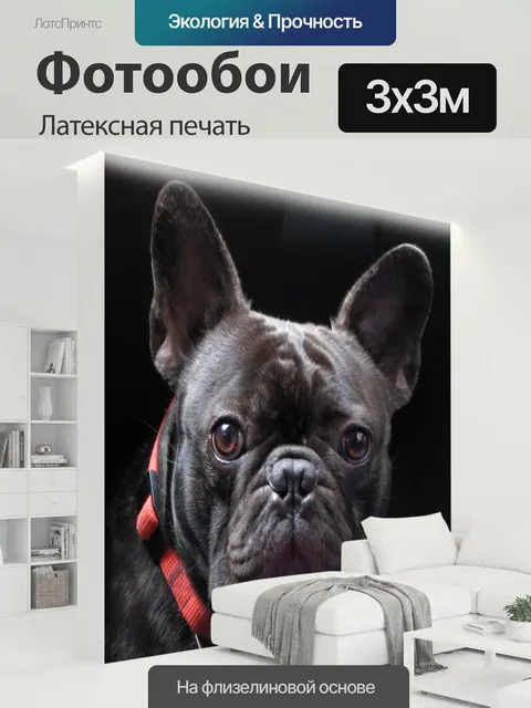 300 × 300 см · Латексная печать