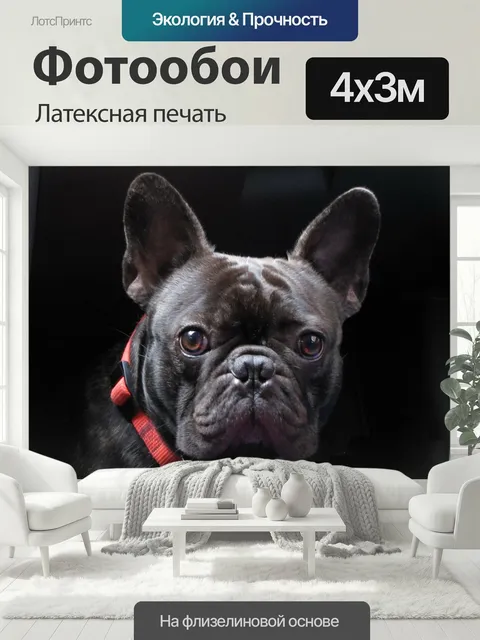 400 × 300 см · Латексная печать