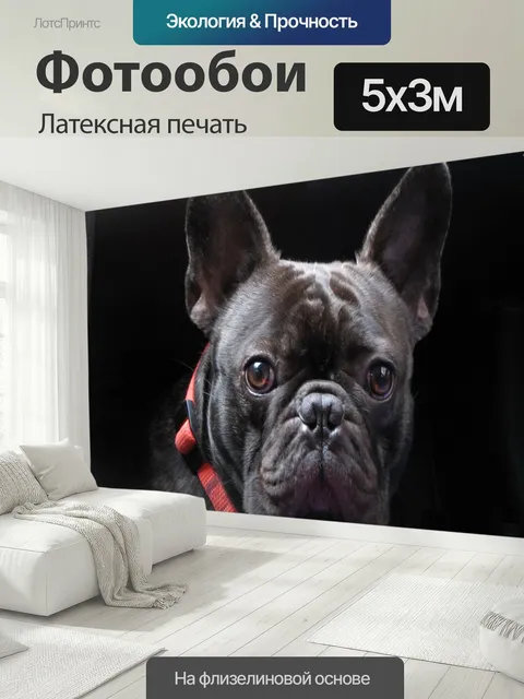 500 × 300 см · Латексная печать