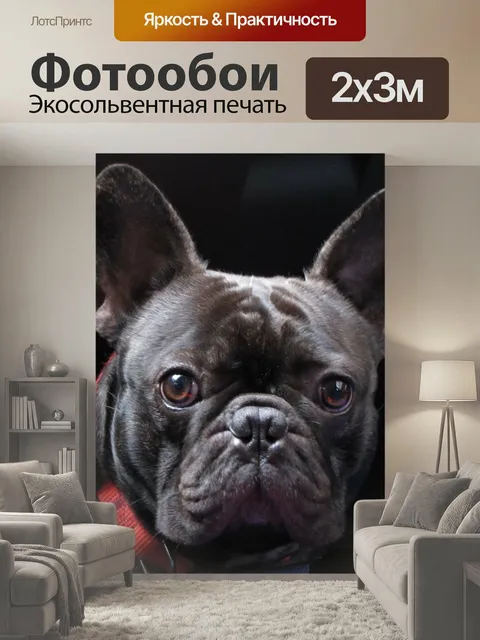 200 × 300 см · Экосольвентная печать