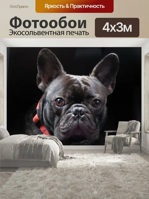 400 × 300 см · Экосольвентная печать