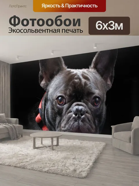 600 × 300 см · Экосольвентная печать